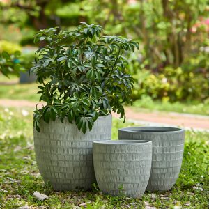 Weavo-Garden Flowers Pot