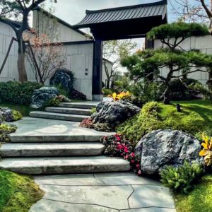 Wild-Custom Landscape Stone